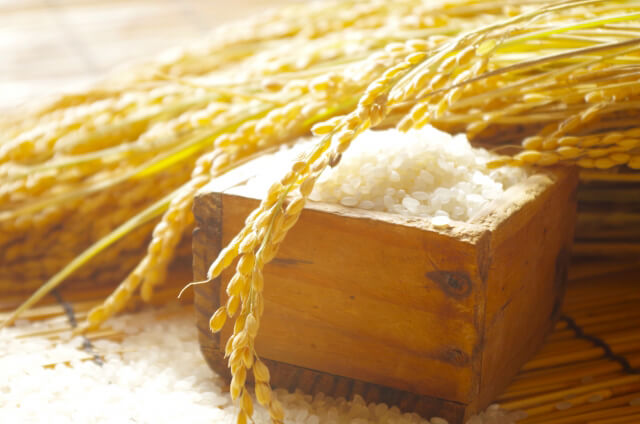 収穫した稲と精米